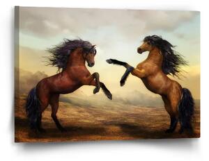 Sablio Obraz Vzpierajúce sa kone - 60x40 cm