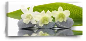 Sablio Obraz Biela orchidea - 110x50 cm