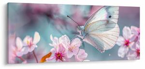 Obraz - Motýľ na čerešni (120x50 cm)