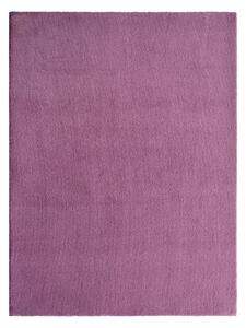 HOCHFLORTEPPICH Cosy, 80/150 cm, bordová Boxxx - Koberce