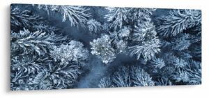 Obraz - Zasnežený les (120x50 cm)