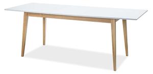 Rozkladací jedálenský stôl 120-165 cm Carrie (biela matná + dub) (pre 4 až 6 osôb). Vlastná spoľahlivá doprava až k Vám domov. 1050042
