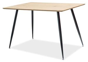 Jedálenský stôl Raina (dub + čierna) (pre 4 osoby). Vlastná spoľahlivá doprava až k Vám domov. 1050761