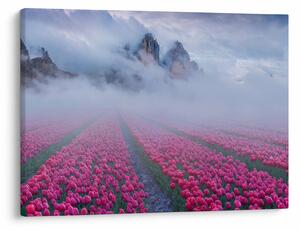 Obraz - Krajina s tulipánovými poľami (70x50 cm)