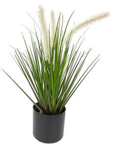 DEKORAČNÁ TRÁVA, 40 cm Ambia Home - Kvety & kvetináče