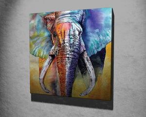 Wallity Obraz na plátne Elephant ethno KC306 50x70 cm