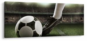 Obraz - Futbalová lopta (120x50 cm)