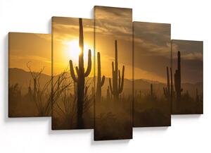 Obraz - Kaktusy Saguaro (150x105 cm)