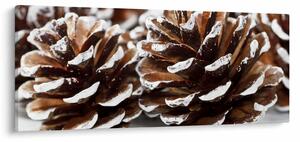 Obraz - Šišky (120x50 cm)