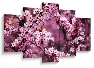 Obraz - Ružová sakura (150x105 cm)
