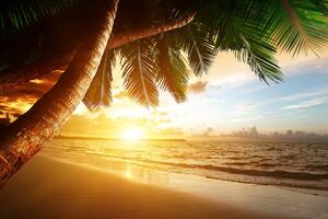 Fototapeta východ slnka na karibskej pláži
