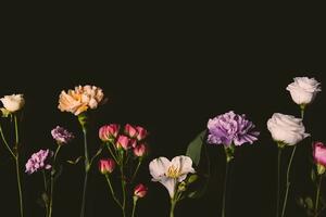 Fototapeta elegantné kvety na tmavom pozadí