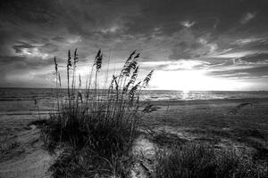 Fototapeta západ slnka na pláži v čiernobielom