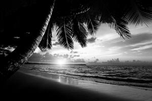 Fototapeta čiernobiela karibská pláž