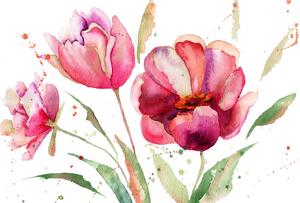 Samolepiaca tapeta tulipány v zaujímavom prevedení