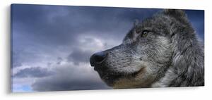 Obraz - Vlčia hlava (120x50 cm)