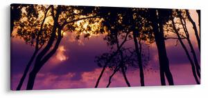 Obraz - Stromy pri západe slnka (120x50 cm)