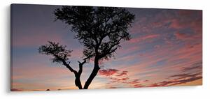 Obraz - Strom a červánky (120x50 cm)