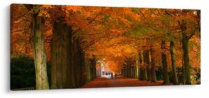 Obraz - Jeseň Alej stromov (120x50 cm)