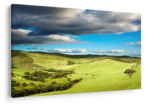 Obraz - Zelená krajina s pahorkami (90x60 cm)