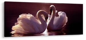 Obraz - Labute na jazere (120x50 cm)