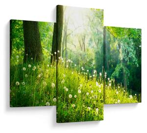 Obraz - Magická lúka plná púpav (90x60 cm)