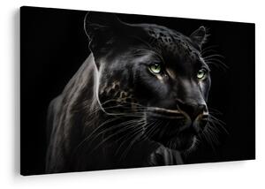 Obraz - Čierny panter (90x60 cm)