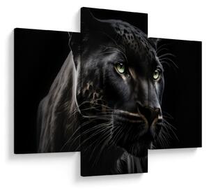 Obraz - Čierny panter (90x60 cm)