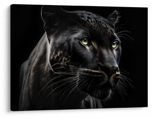 Obraz - Čierny panter (70x50 cm)