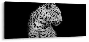 Obraz - Leopard (120x50 cm)