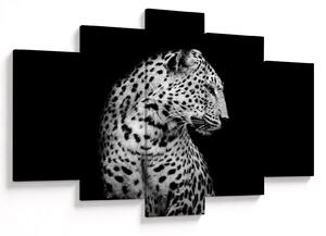 Obraz - Leopard (150x105 cm)