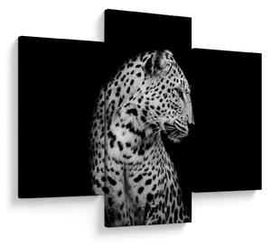 Obraz - Leopard (90x60 cm)