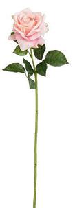 RUŽA 65 cm - Kvety & kvetináče