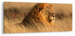 Obraz - Národný park Etosha (120x50 cm)