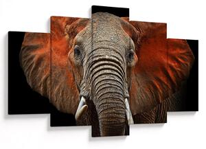 Obraz - Slony z Tsavo (150x105 cm)