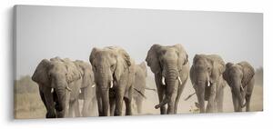 Obraz - Slonie stádo (120x50 cm)