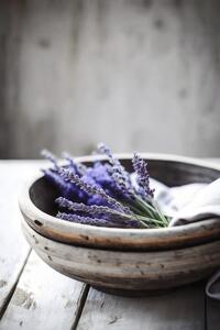 Fotografia Lavender In Bowl, Treechild