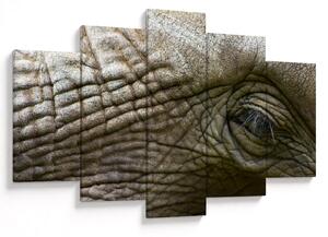 Obraz - Detailné fotografie starého slonieho oka (150x105 cm)
