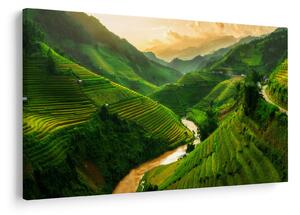 Obraz - Ryžové terasy Mu Cang Chai (90x60 cm)