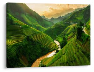 Obraz - Ryžové terasy Mu Cang Chai (70x50 cm)