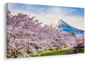Obraz - Japonsko na jar (90x60 cm)