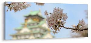 Obraz - Sakura (120x50 cm)
