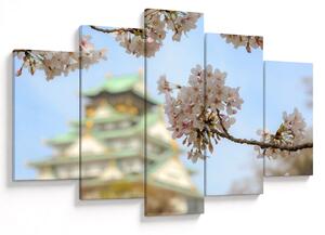 Obraz - Sakura (150x105 cm)