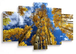 Obraz - Aspen (150x105 cm)