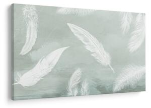 Obraz - Biele pierka (90x60 cm)