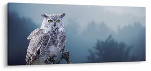 Obraz - Sova snežná (120x50 cm)