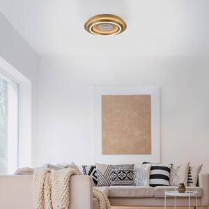 JUST LIGHT. GmbH Stropné LED svetlo Cichio, matná zlatá farba, železo, 3 000 K, Mosadz / zlato, Obývacia izba / jedáleň, kov, Moderný, Závesné svietidlo