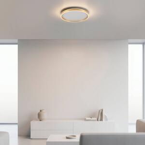 JUST LIGHT. GmbH Stropné LED svetlo Madlen, zlatá farba, Ø 40 cm, hliník, 3000 K, stmievateľné, Mosadz / zlato, Obývacia izba / jedáleň, kov, Moderný, Závesné svietidlo