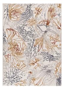 Koberec 80x150 cm Amara – Universal