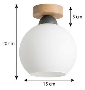BRILAGI - LED stropné svietidlo RETRO GLASS 1xE27/60W/230V priemer 15 cm dub/biela